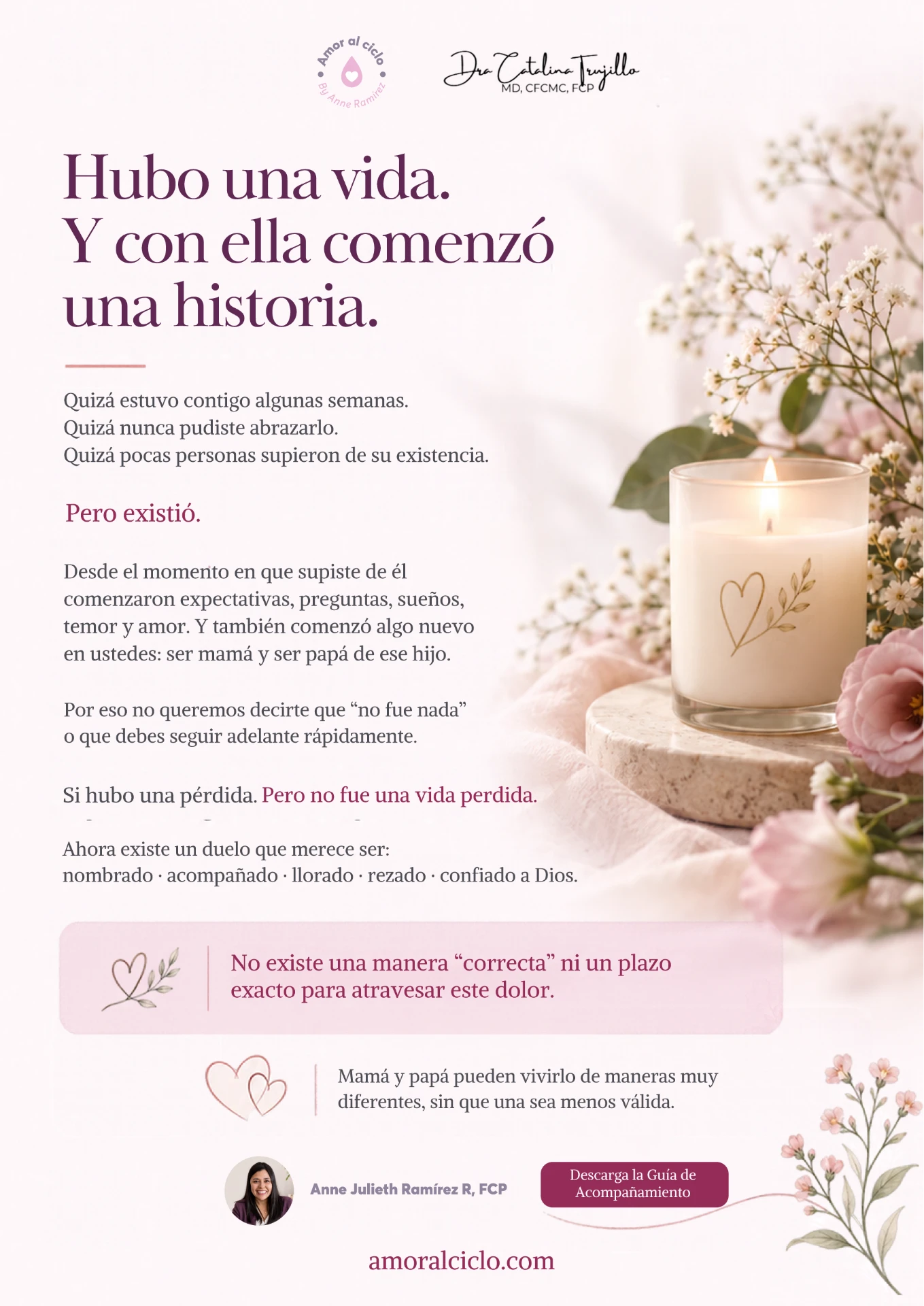 Hubo una vida. Y con ella comenzó una historia. Guía de acompañamiento de pérdida gestacional